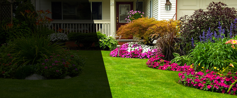 Shafter Landscapers