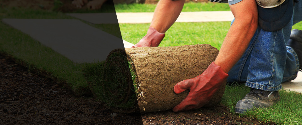 Shafter Landscapers